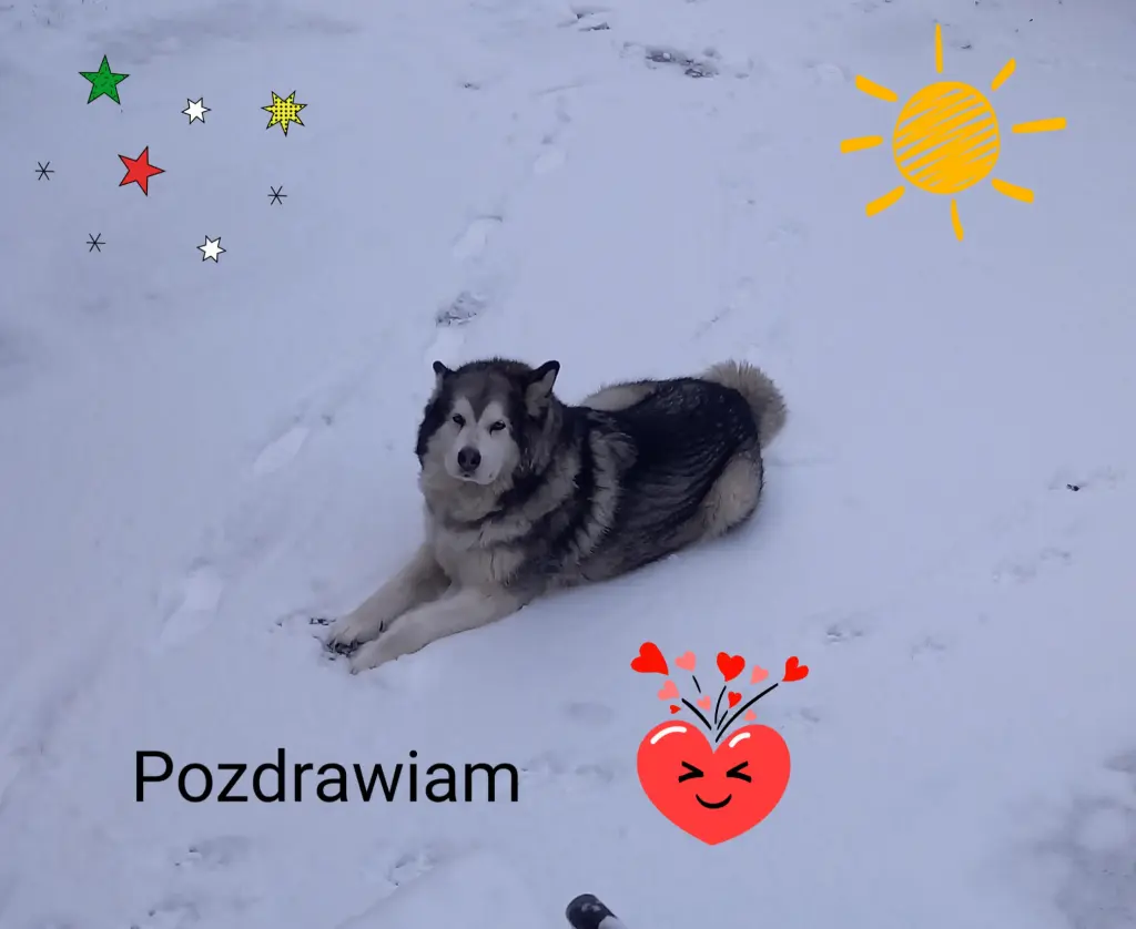 Image from Miśka