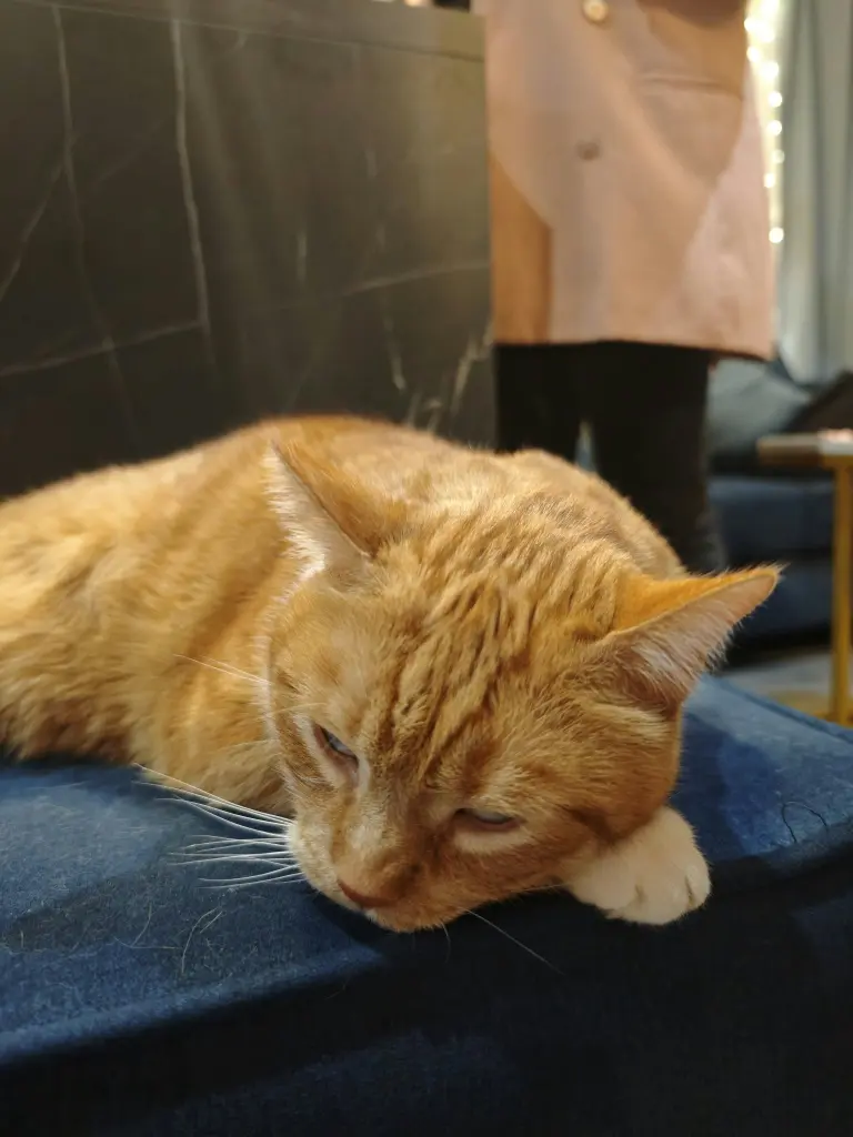 Condolence image of Anna